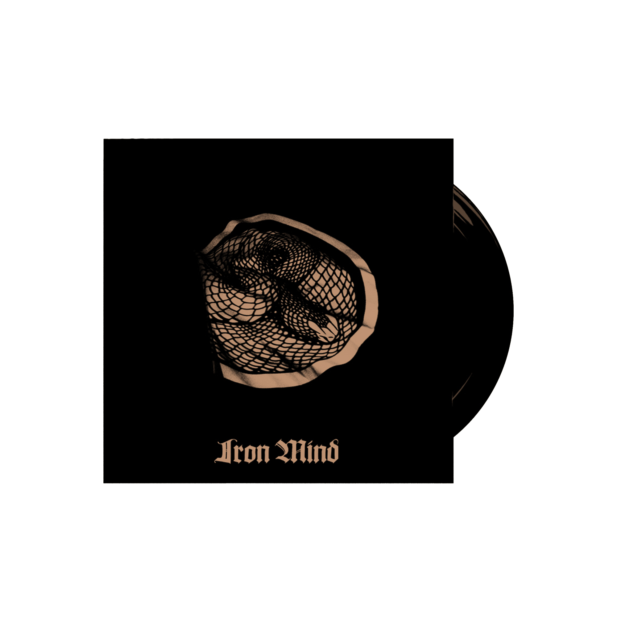 ★専用★10枚 アイアンマインド C.O.C 認定カード IRONMIND Amazon.co.jp: Ironmind(アイアンマインド) Expand Bands